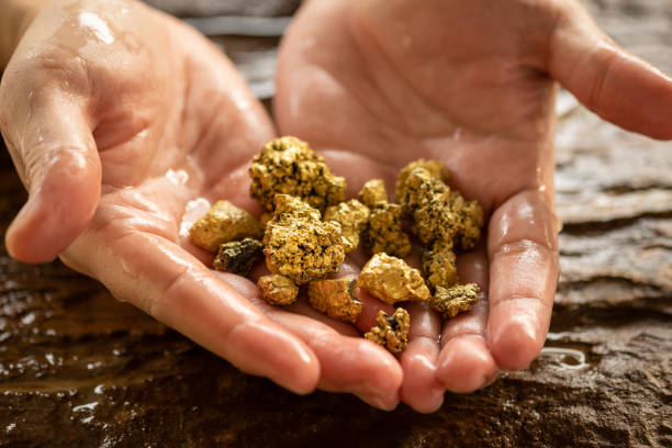 👑⚱️REVELADOR DE TESOROS👑⚱️